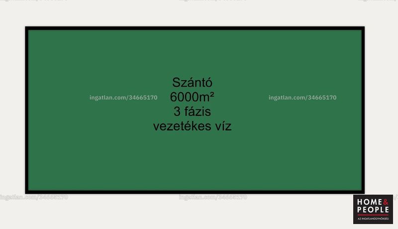 Kép az ingatlanról