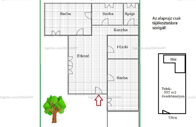 Picture of the real estate