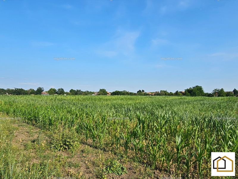 Foto auflisten