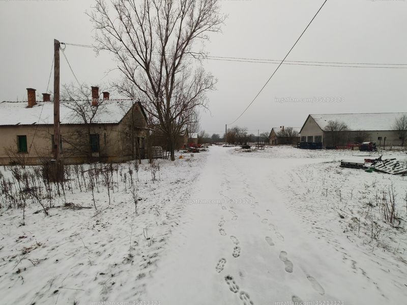 Foto auflisten