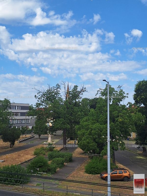 neighborhood