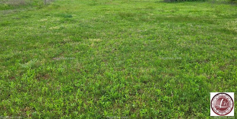 Foto auflisten