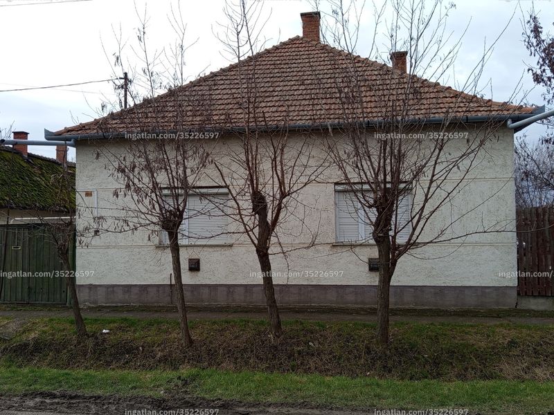 Hirdetés fotója