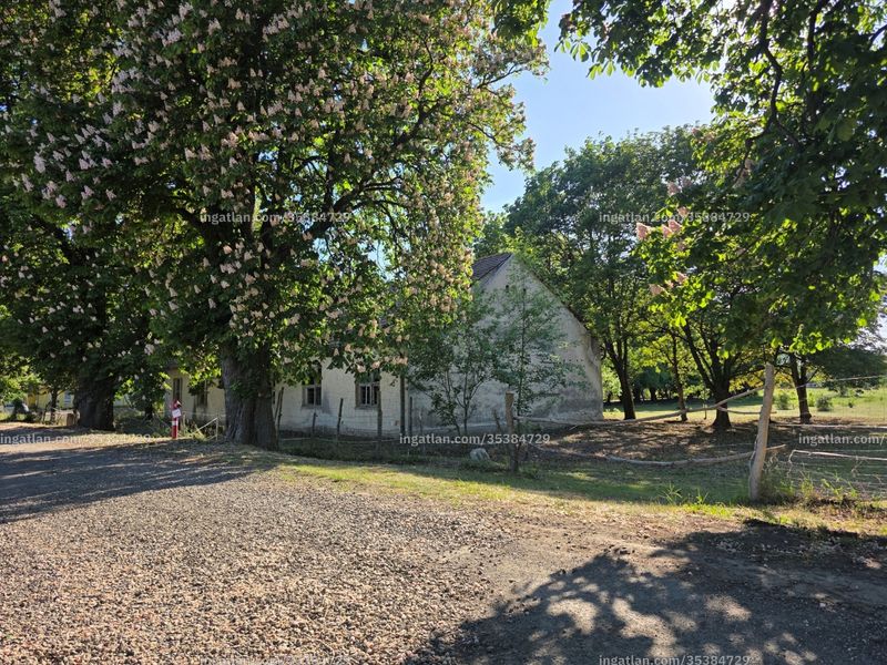 Foto auflisten