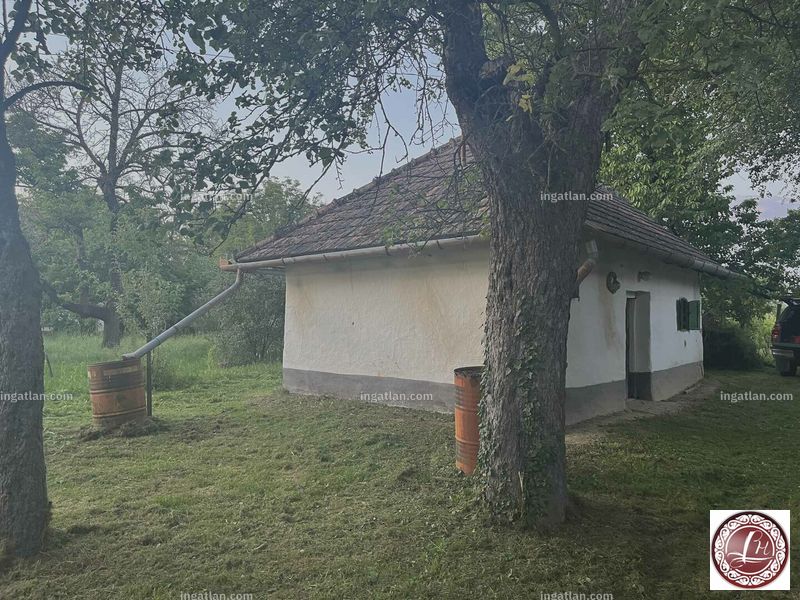 Foto auflisten