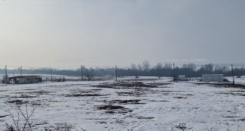 Foto auflisten