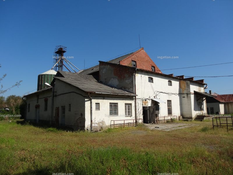 Ingatlan kép
