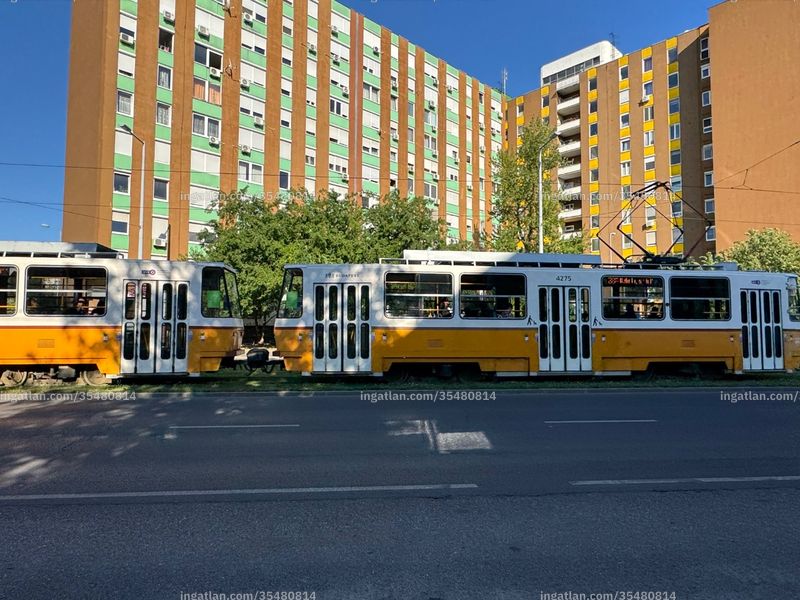 Foto auflisten