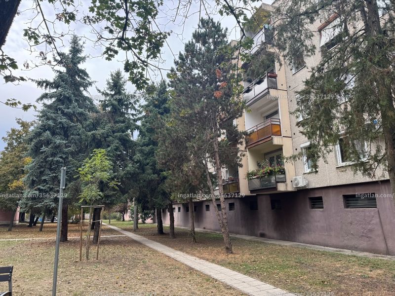 Ingatlan kép