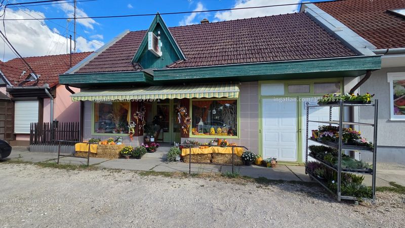 Listing photo