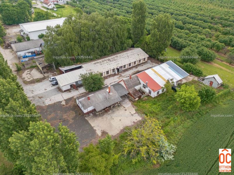 Listing photo