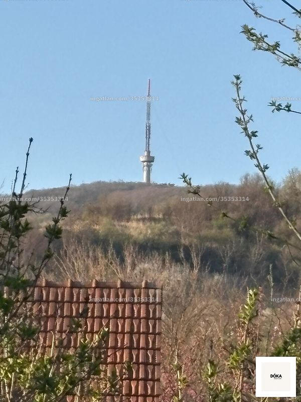 Foto auflisten