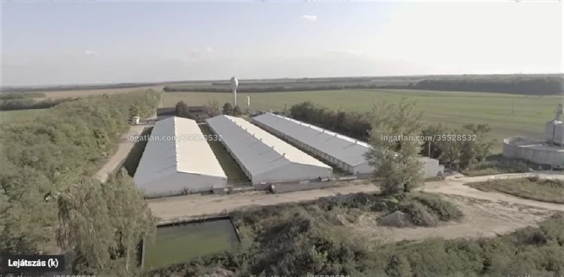 Kép az ingatlanról
