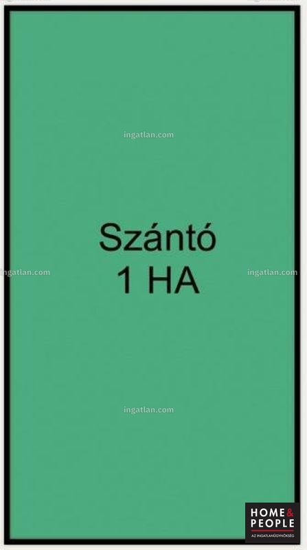 Foto auflisten
