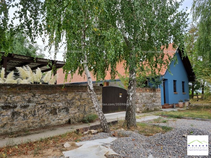 Ingatlan kép