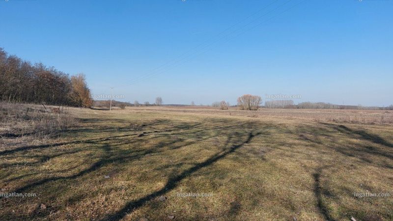 Foto auflisten