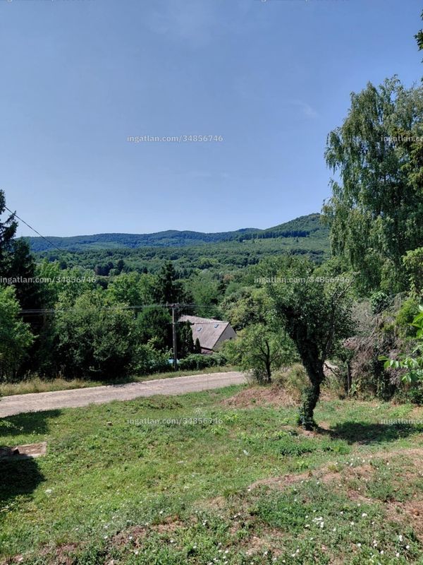 Foto auflisten