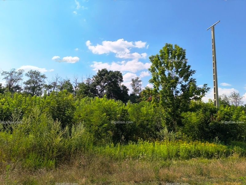 Dunavarsány - 1. kép