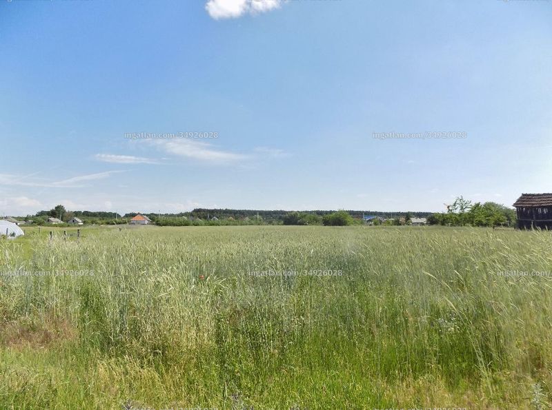 Foto auflisten