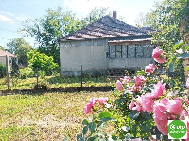 Ingatlan kép
