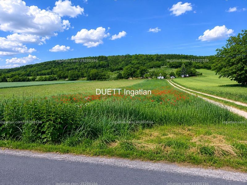 Hirdetés fotója