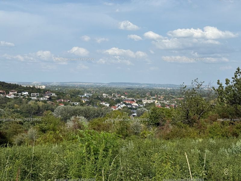 Foto auflisten