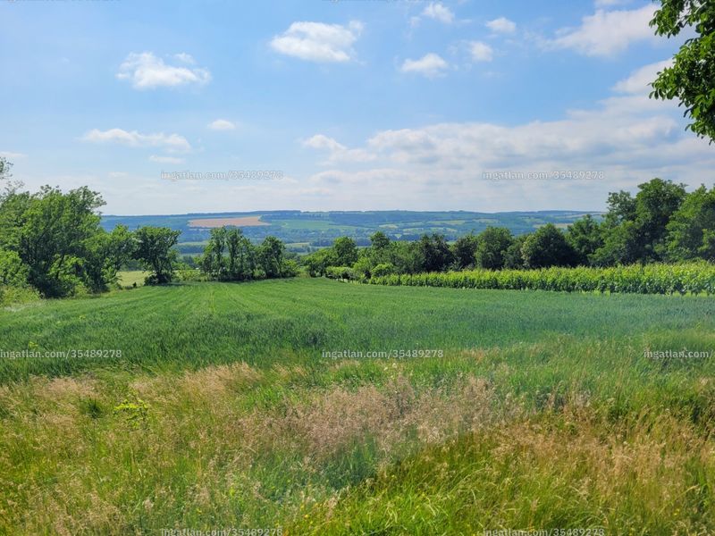 Foto auflisten
