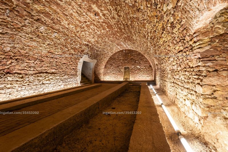 cellar