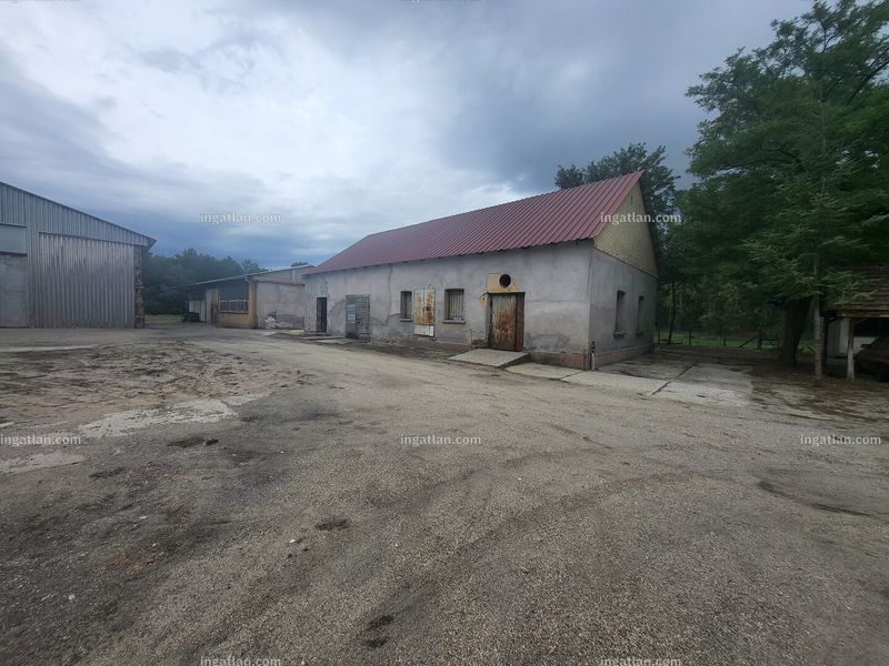 Kép az ingatlanról