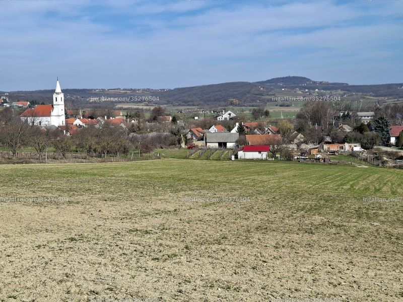 Foto auflisten