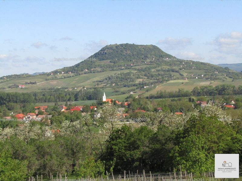 Ingatlan kép