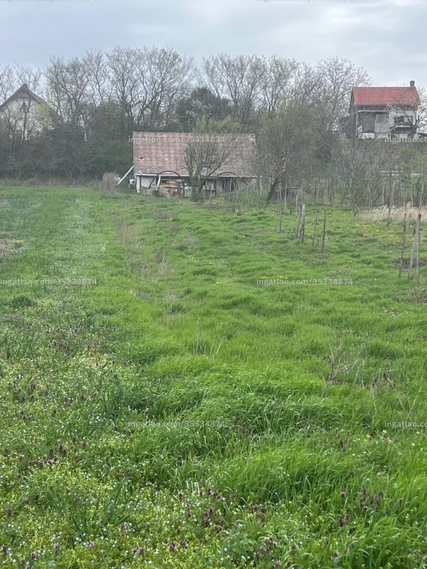 Hirdetés fotója