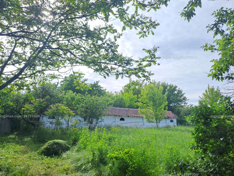 Foto auflisten