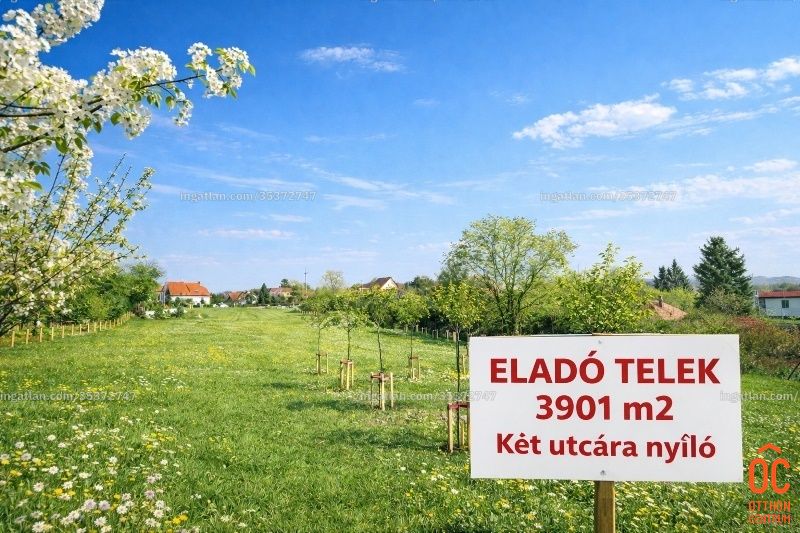 Foto auflisten