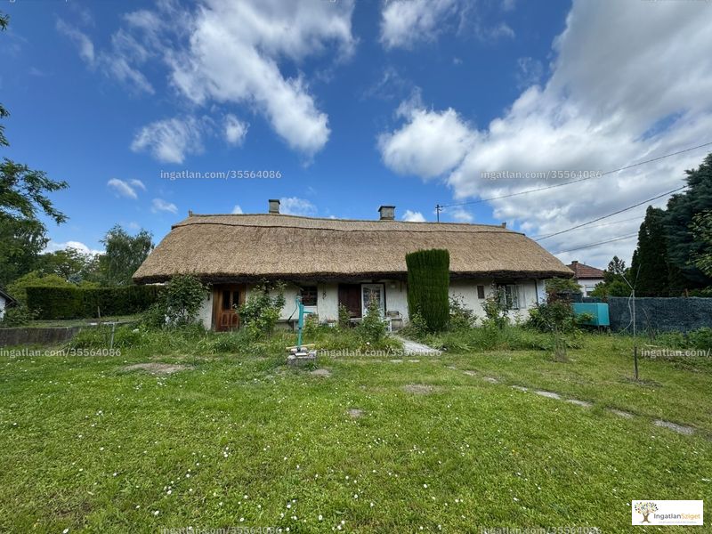 Foto auflisten