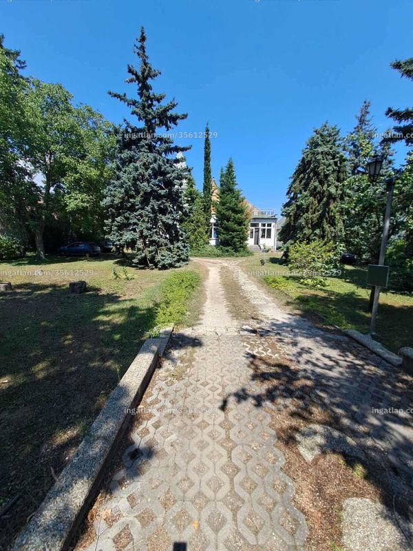 garden