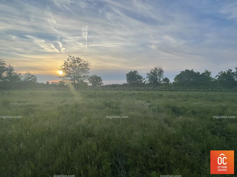 Foto auflisten