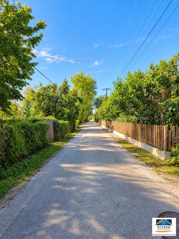 neighborhood