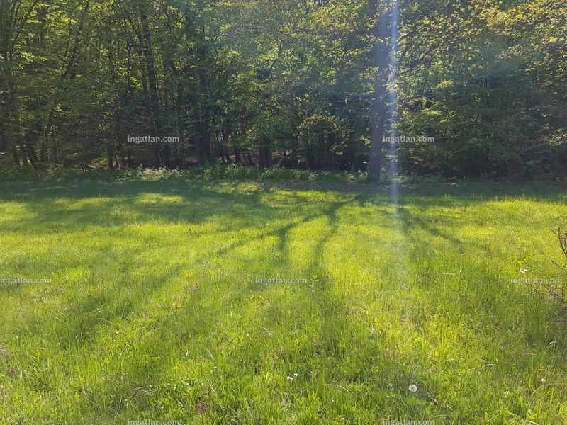 Foto auflisten