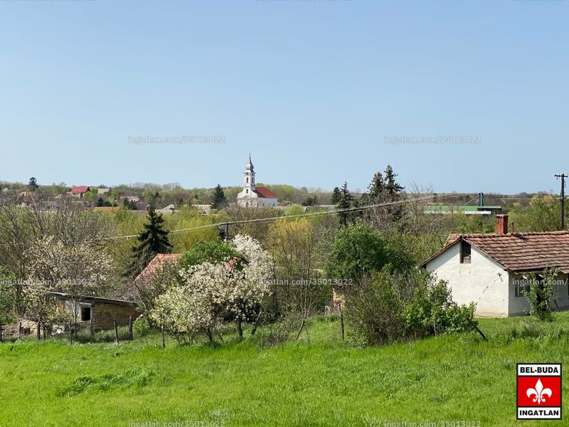 Foto auflisten