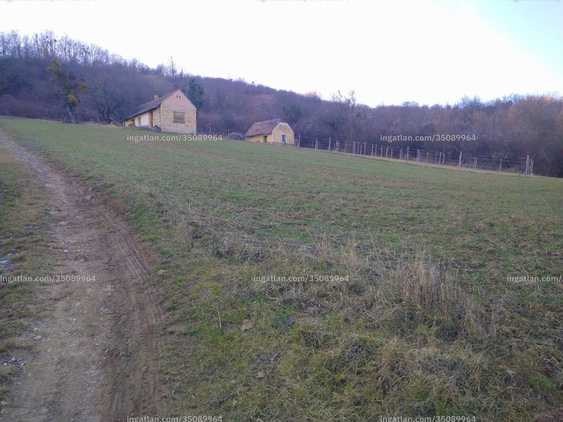 Foto auflisten