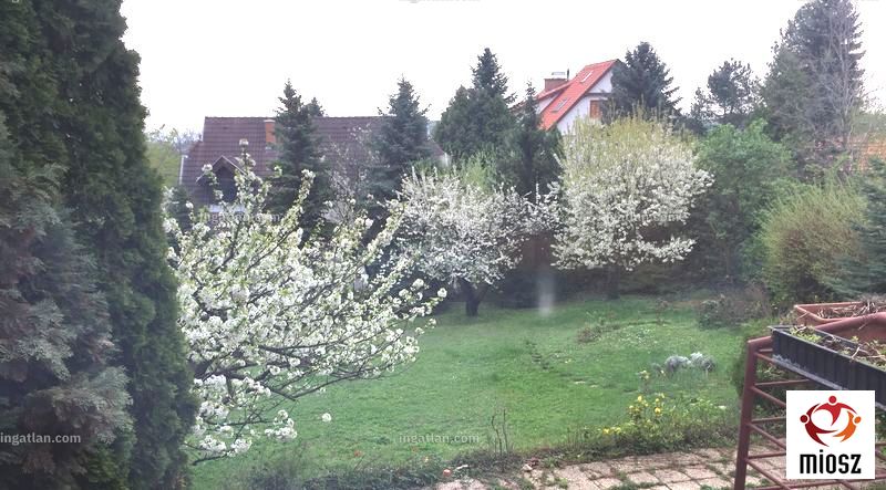 Foto auflisten