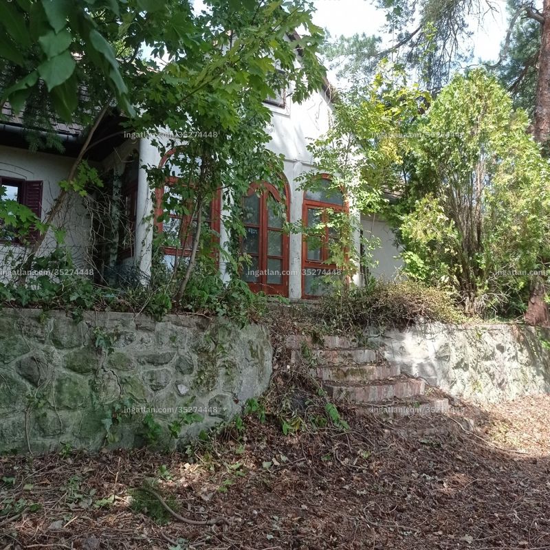 Ingatlan kép