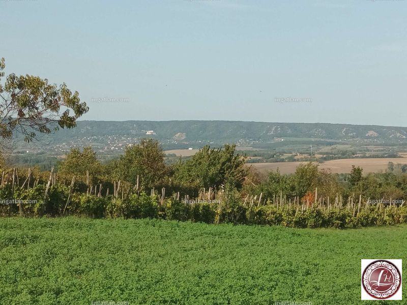 alaprajz