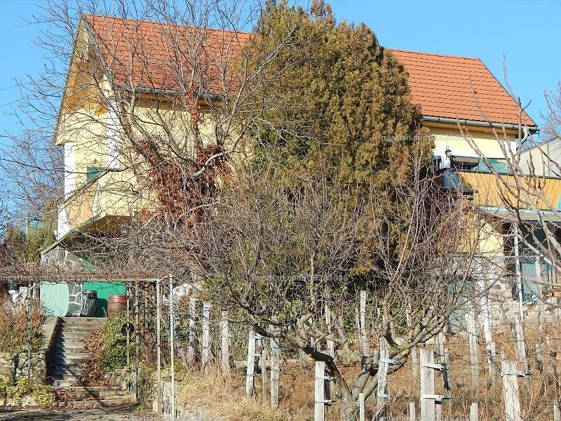 Foto auflisten