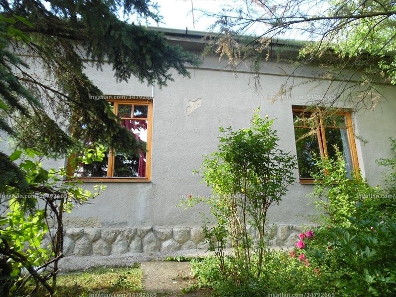 Hirdetés fotója