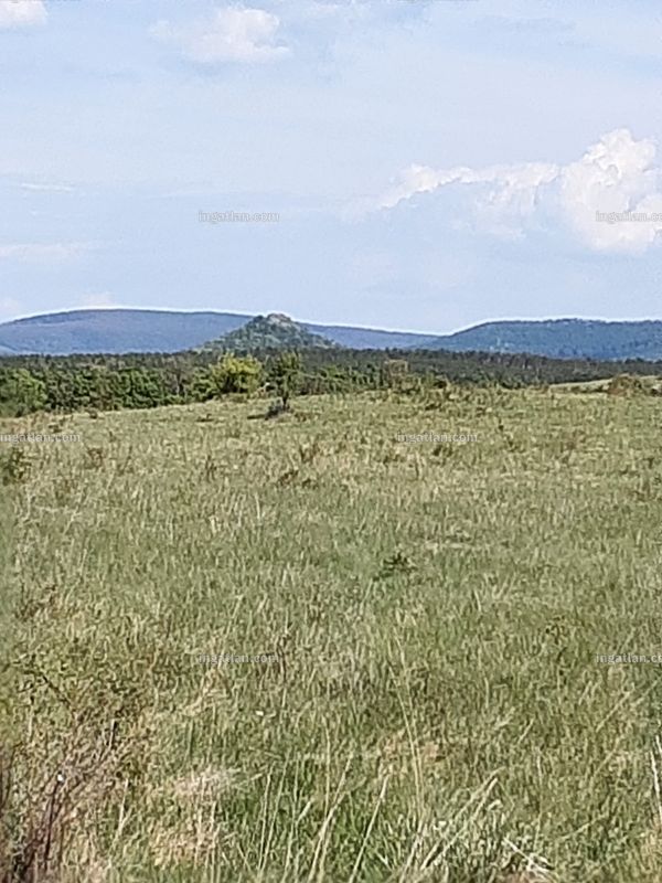 kilátás