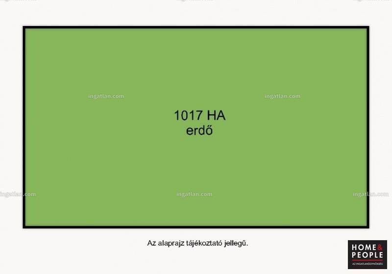 Foto auflisten