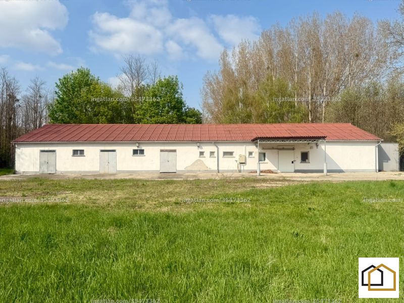 Kép az ingatlanról
