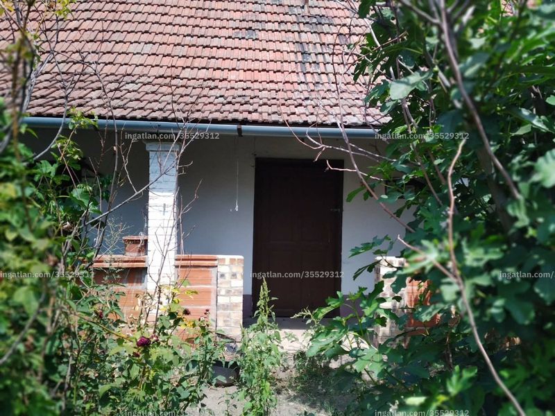 Ingatlan kép